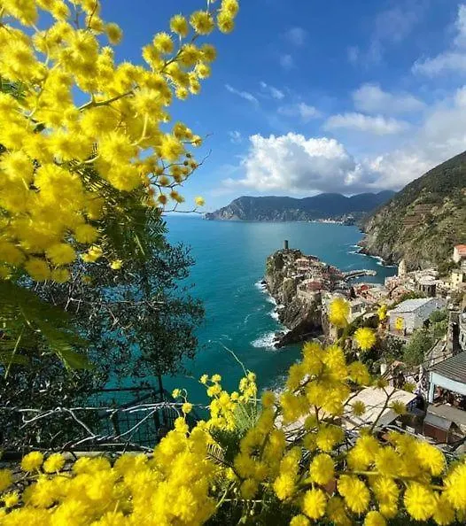 Apartmán Appartamento Linda A Pochi Passi Dal Mare - 011030-Lt-0357 Vernazza