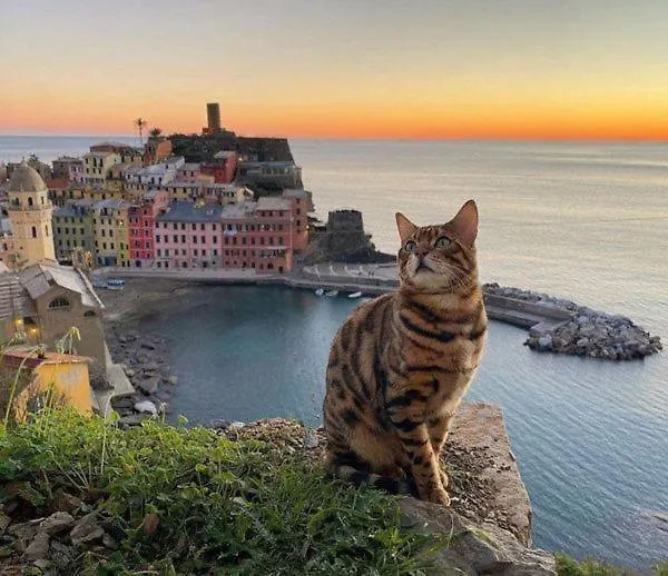 Appartamento Linda A Pochi Passi Dal Mare - 011030-Lt-0357 Vernazza